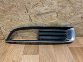 Front fog light trim/grill
