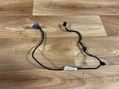 Front door wiring loom