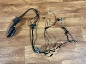 Rear door wiring loom