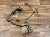 Rear door wiring loom