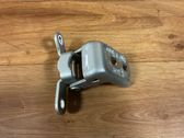 Rear door lower hinge