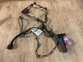 Rear door wiring loom