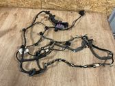 Front door wiring loom