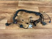 Front door wiring loom