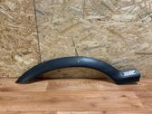Fender trim (molding)