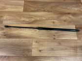 Tailgate/trunk strut/damper