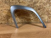 Other front door trim element