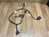 Front door wiring loom