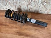 Front shock absorber with coil spring