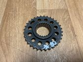 Fuel pump gear (pulley)
