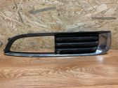 Front fog light trim/grill