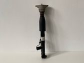 Rear shock absorber/damper