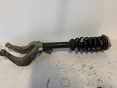 Front shock absorber/damper