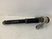Rear shock absorber/damper