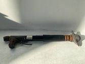 Rear shock absorber/damper