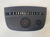 Panel speaker