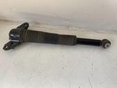 Rear shock absorber/damper