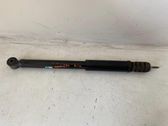 Rear shock absorber/damper
