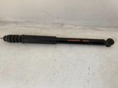 Rear shock absorber/damper