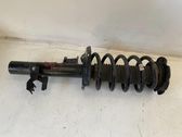 Front shock absorber/damper
