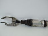 Front shock absorber/damper
