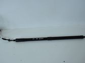 Tailgate/trunk strut/damper
