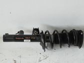 Etuiskunvaimennin
