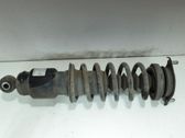 Rear shock absorber/damper