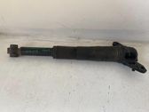 Rear shock absorber/damper