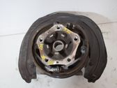 Rear wheel hub