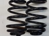 Muelle espiral trasero