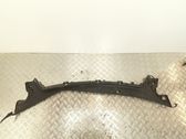 Wiper trim
