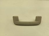 Front interior roof grab handle