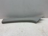 (A) pillar trim