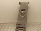 (B) pillar trim (top)
