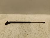 Tailgate/trunk strut/damper