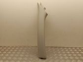 (A) pillar trim
