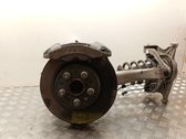 Front wheel hub spindle knuckle