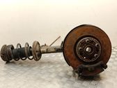 Front wheel hub spindle knuckle