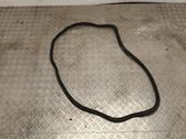 Rear door rubber seal (on body)