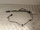 Línea de cable de puerta trasera