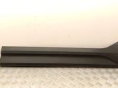 Front door trim (molding)