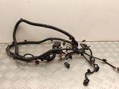 Parking sensor (PDC) wiring loom
