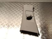 (B) pillar trim (top)