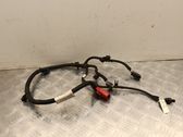 Other wiring loom