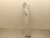 (A) pillar trim