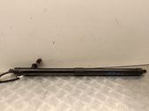 Tailgate/trunk strut/damper