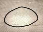 Rear door rubber seal (on body)