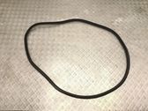 Rear door rubber seal (on body)