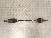 Rear driveshaft